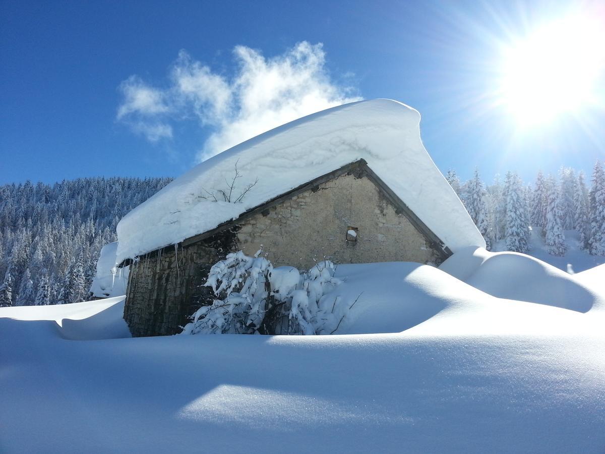 Alpine Smart Residence Folgaria Eksteriør bilde